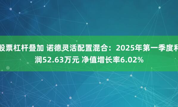 股票杠杆叠加 诺德灵活配置混合：2025年第一季度利润52.63万元 净值增长率6.02%