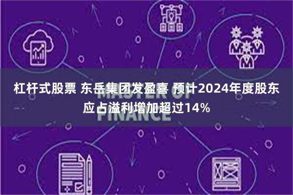 杠杆式股票 东岳集团发盈喜 预计2024年度股东应占溢利增加超过14%