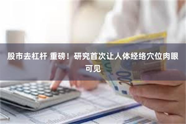 股市去杠杆 重磅！研究首次让人体经络穴位肉眼可见