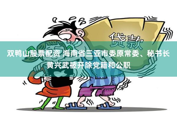 双鸭山股票配资 海南省三亚市委原常委、秘书长黄兴武被开除党籍和公职