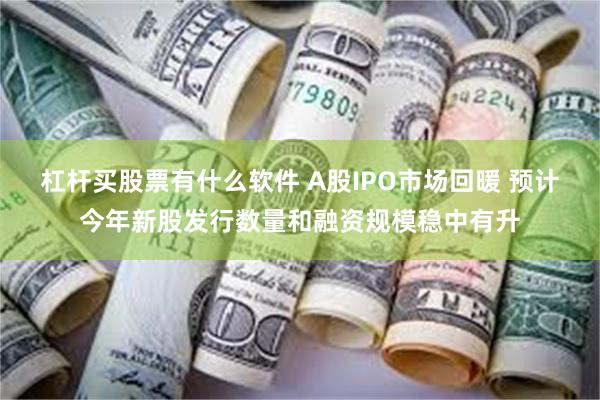 杠杆买股票有什么软件 A股IPO市场回暖 预计今年新股发行数量和融资规模稳中有升