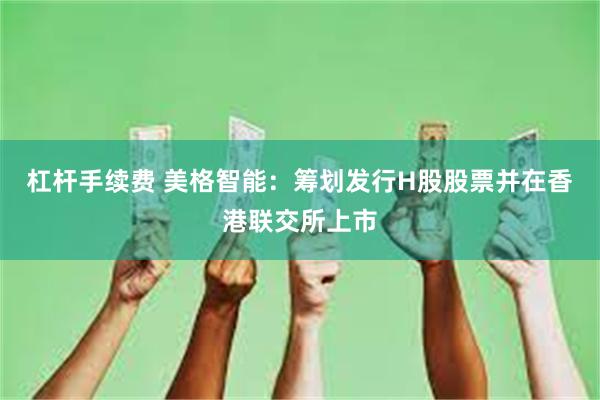 杠杆手续费 美格智能：筹划发行H股股票并在香港联交所上市