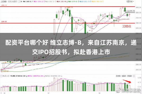 配资平台哪个好 维立志博-B，来自江苏南京，递交IPO招股书，拟赴香港上市