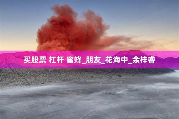 买股票 杠杆 蜜蜂_朋友_花海中_余梓睿