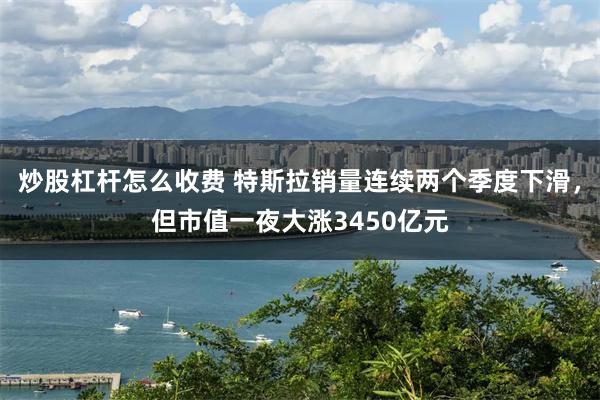 炒股杠杆怎么收费 特斯拉销量连续两个季度下滑，但市值一夜大涨3450亿元